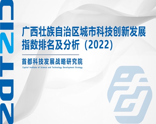 大屌爆肏骚屄视频【成果发布】广西壮族自治区城市科技创新发展指数排名及分析（2022）